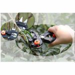 Pince à greffer – Image 2